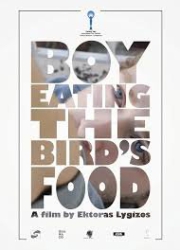 پسری که غذای پرنده می خورد